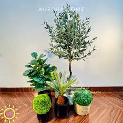 Tiểu cảnh combo cây giả decor (Set 09)