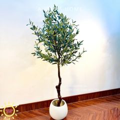 Cây ô liu giả cao cấp tán lá tròn đẹp