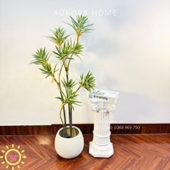 Cây giả Trúc Nhật đốm xanh xinh xắn