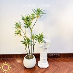 Cây giả Trúc Nhật đốm xanh xinh xắn