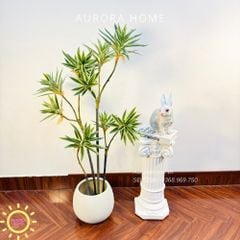 Cây giả Trúc Nhật đốm xanh xinh xắn