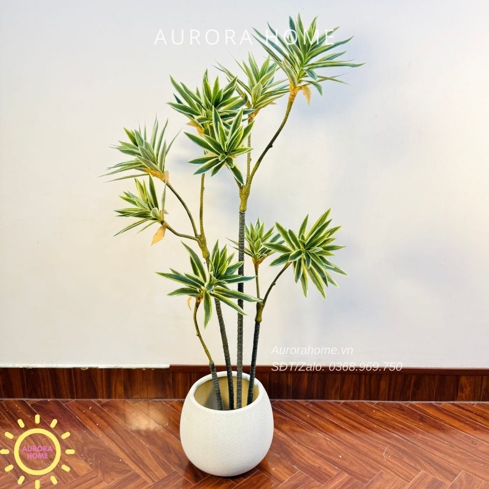 Cây giả Trúc Nhật đốm xanh xinh xắn