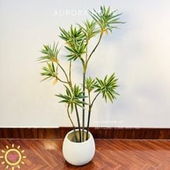 Cây giả Trúc Nhật đốm xanh xinh xắn