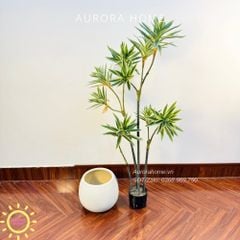 Cây giả Trúc Nhật đốm xanh xinh xắn