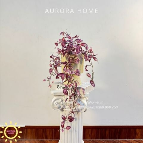 Chậu cây thìa lìa tím rủ để bàn xinh xắn