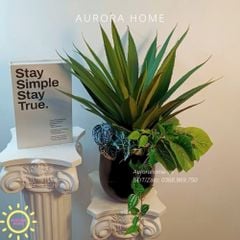 Chậu cây giả lá Xanh Tươi mix mẫu 01