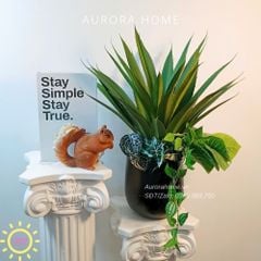 Chậu cây giả lá Xanh Tươi mix mẫu 01