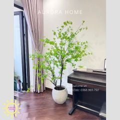 Cây giả Premium Cây Thạch Nam hai nhánh cao 2m