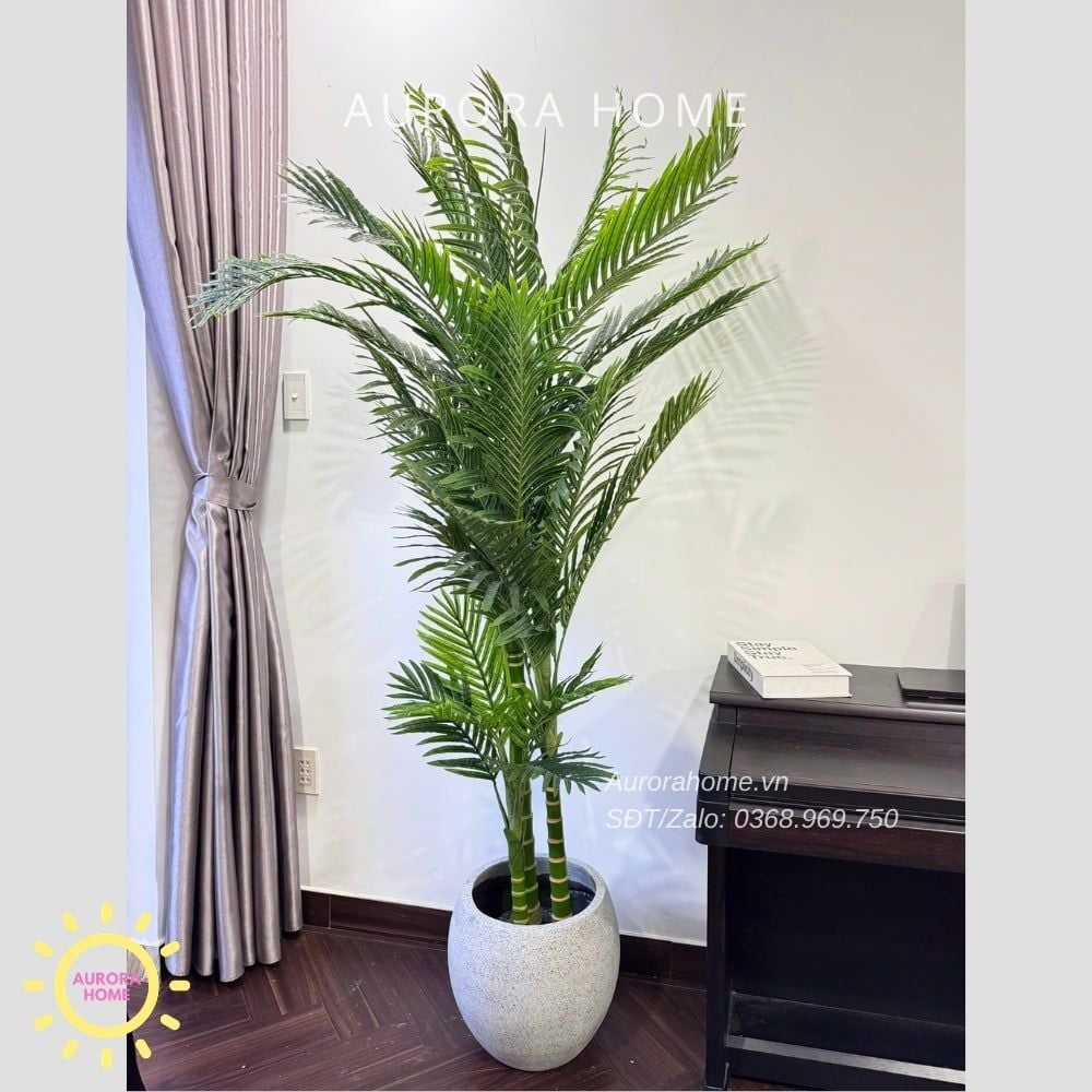 Cây giả Premium Cây Cau Haiwai 2m