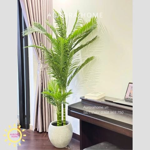 Cây giả Premium Cây Cau Haiwai 2m