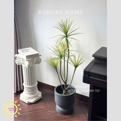 Cây giả Premium Cây Trúc Hoàng Kim