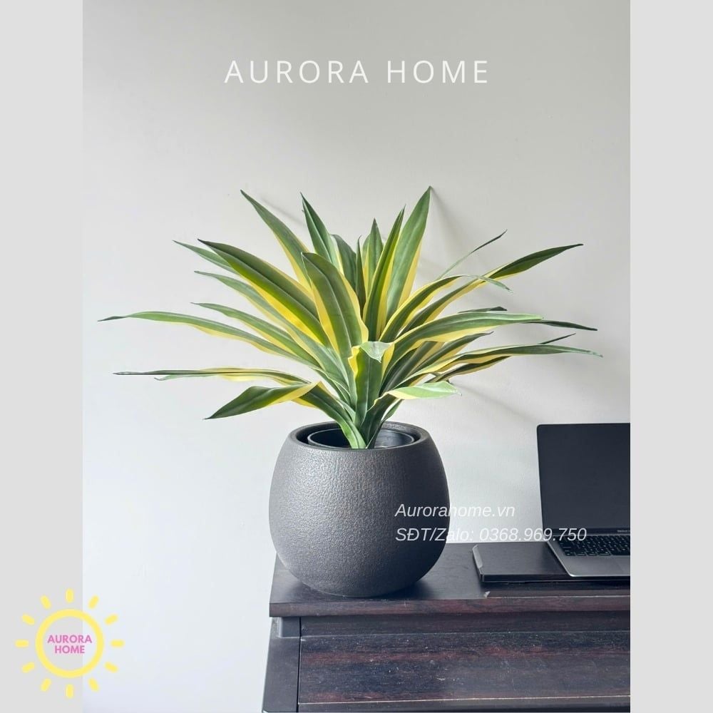 Cây giả Premium Cây Dứa Cảnh Yucca