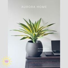 Cây giả Premium Cây Dứa Cảnh Yucca
