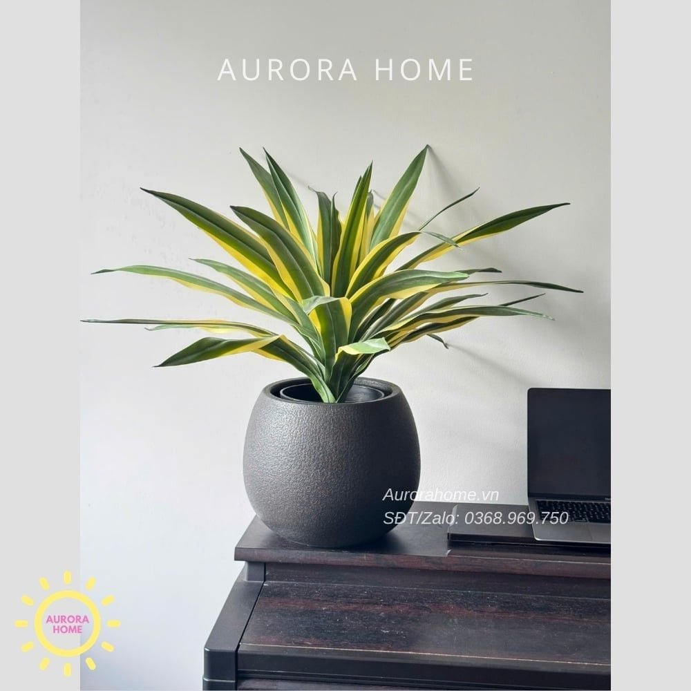 Cây giả Premium Cây Dứa Cảnh Yucca