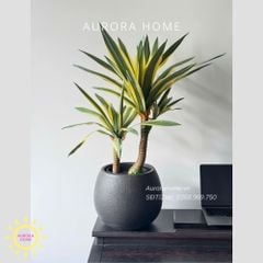 Cây giả Premium Cây Dứa Cảnh Yucca
