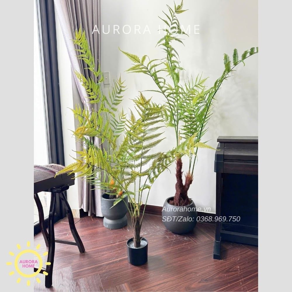 Cây giả Premium Cây Dương Xỉ Boston