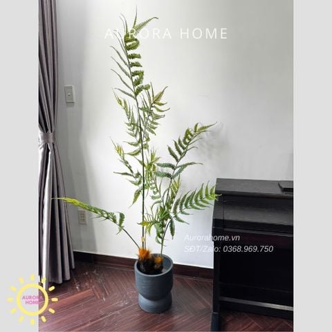 Cây giả Premium Cây Dương Xỉ Boston