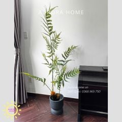 Cây giả Premium Cây Dương Xỉ Boston