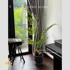 Cây giả Premium Cây Dương Xỉ Boston