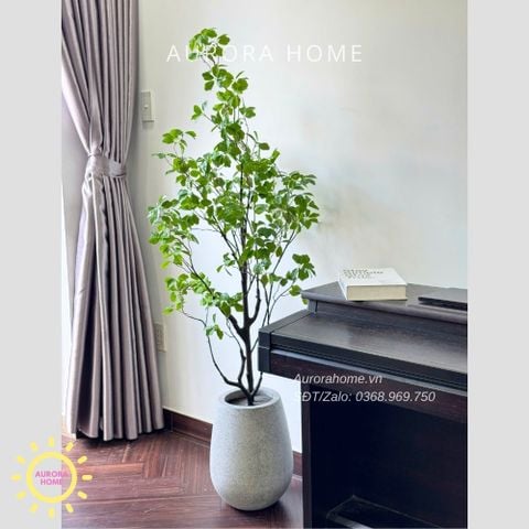 Cây giả Premium Cây Chân Chim