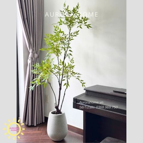 Cây giả Premium Cây Nam Thiên Trúc Xanh