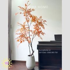 Cây giả Premium Cây Nam Thiên Trúc Đỏ