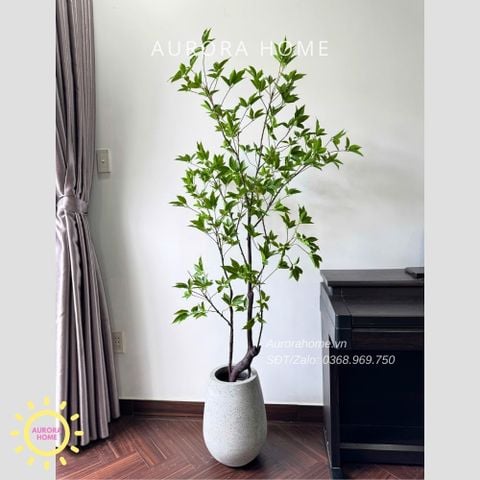 Cây giả Premium Cây Mai Chỉ Thiên
