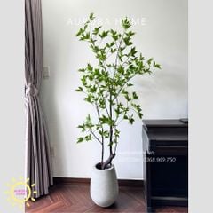 Cây giả Premium Cây Mai Chỉ Thiên