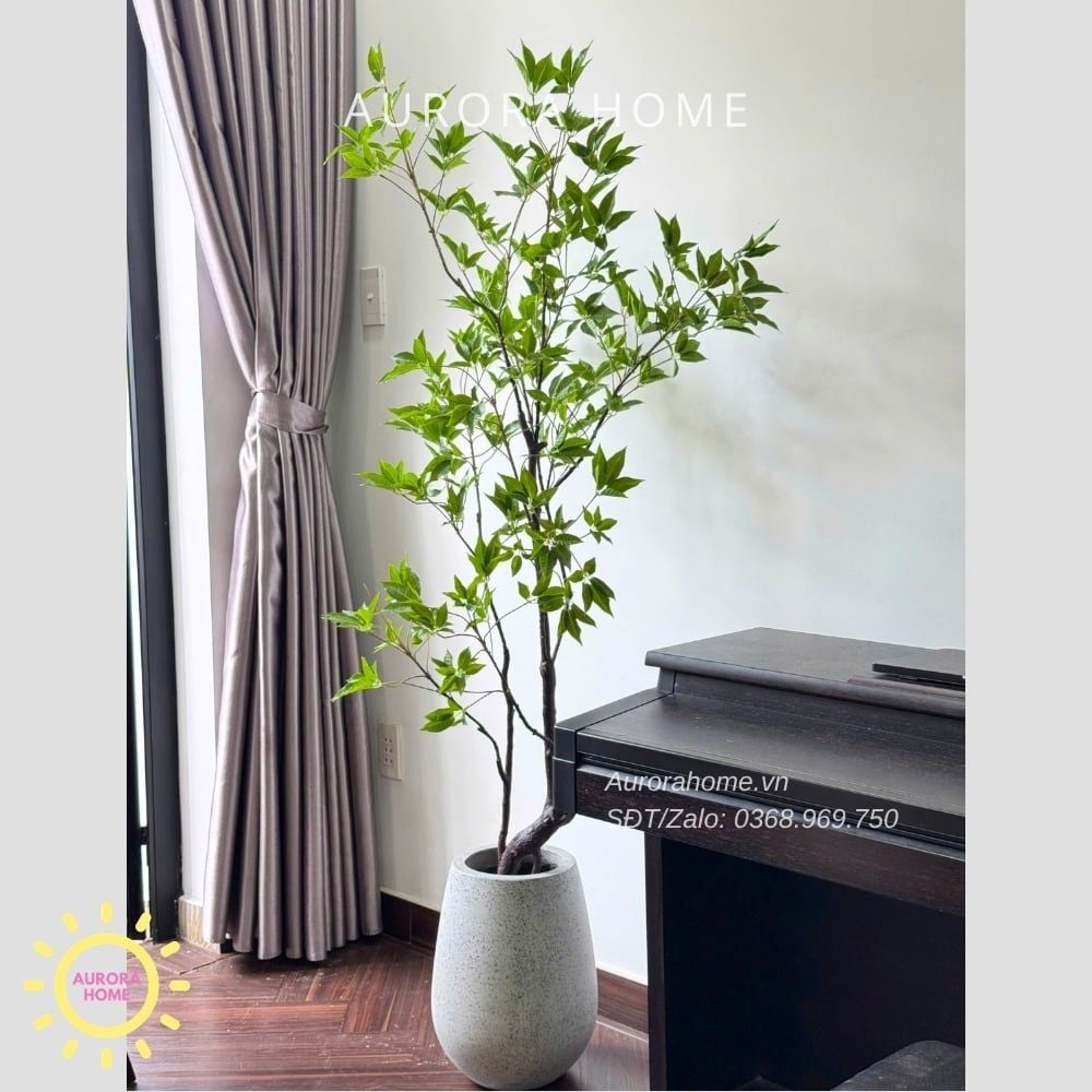 Cây giả Premium Cây Mai Chỉ Thiên