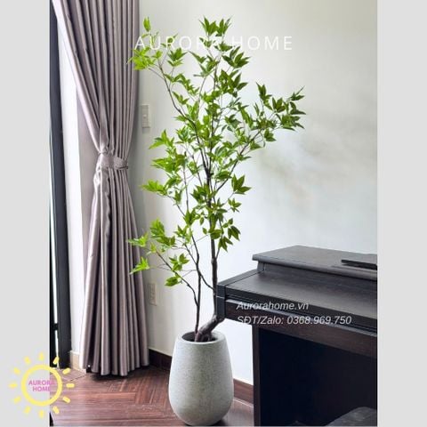 Cây giả Premium Cây Mai Chỉ Thiên