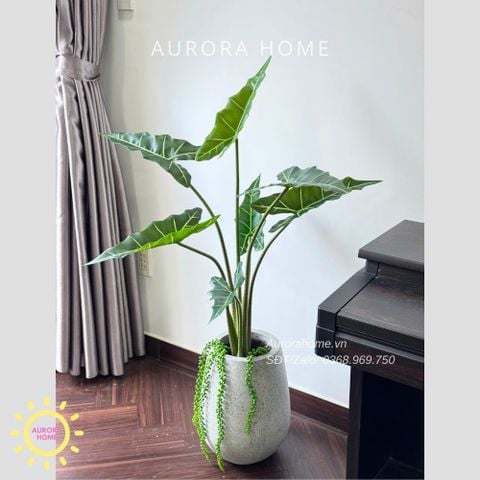 Cây giả trang trí (Set cây decor 06)