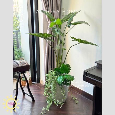 Cây giả trang trí (Set cây decor 07)