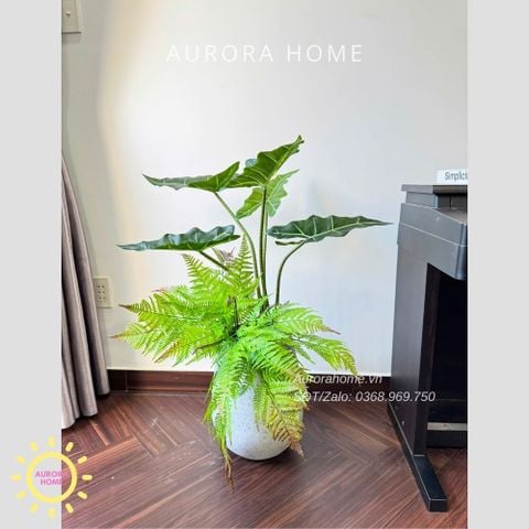 Cây giả trang trí (Set cây decor 05)
