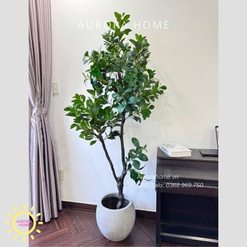 Cây giả Premium Cây Hạnh Phúc cao 2m