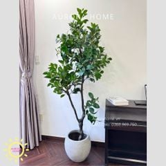 Cây giả Premium Cây Hạnh Phúc cao 2m