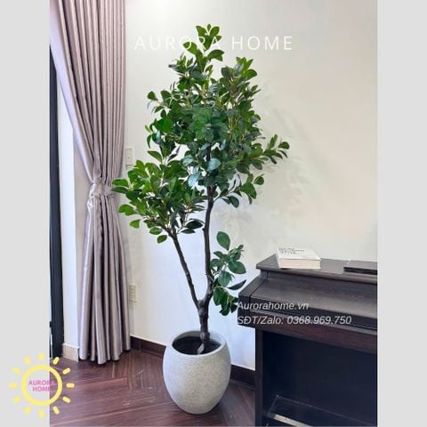 Cây giả Premium Cây Hạnh Phúc cao 2m
