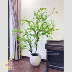 Cây giả Premium Cây Thạch Nam hai nhánh cao 2m