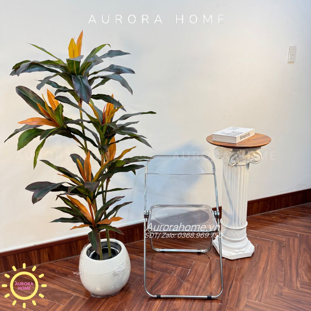 Cây huyết dụ cây hoa sắt đỏ cao cấp