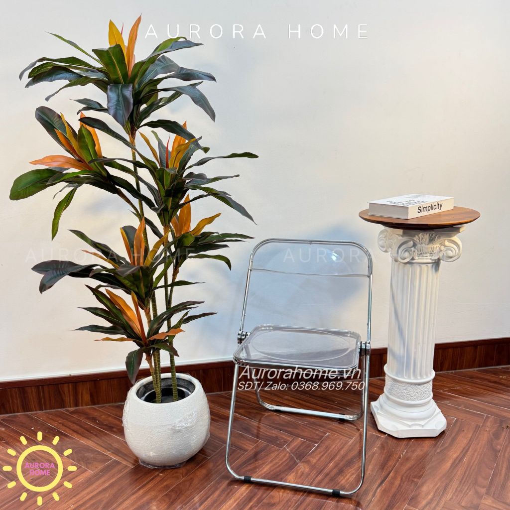 Cây huyết dụ cây hoa sắt đỏ cao cấp