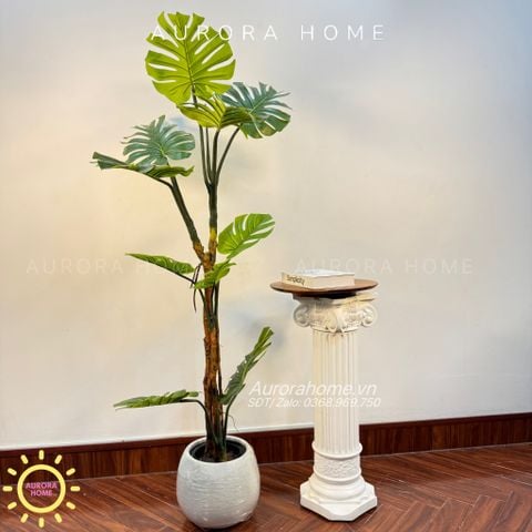 Cây giả Premium cây Monstera lá xẻ thân đẹp
