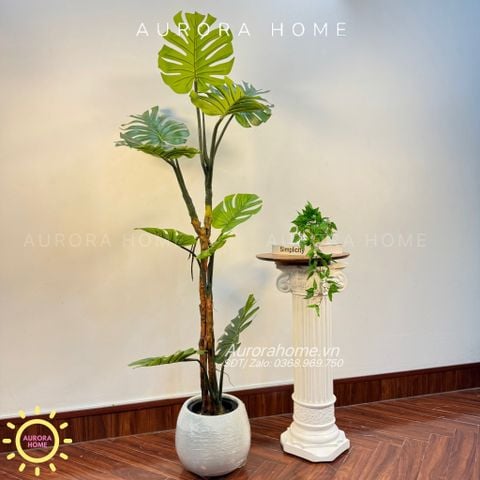 Cây giả Premium cây Monstera lá xẻ thân đẹp