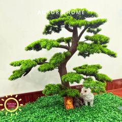 Cây tùng bonsai giả (Mẫu 35)