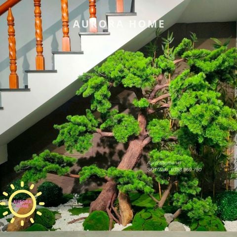 Tiểu cảnh Cây tùng bonsai, kèm trúc quân tử cổ điển truyền thống