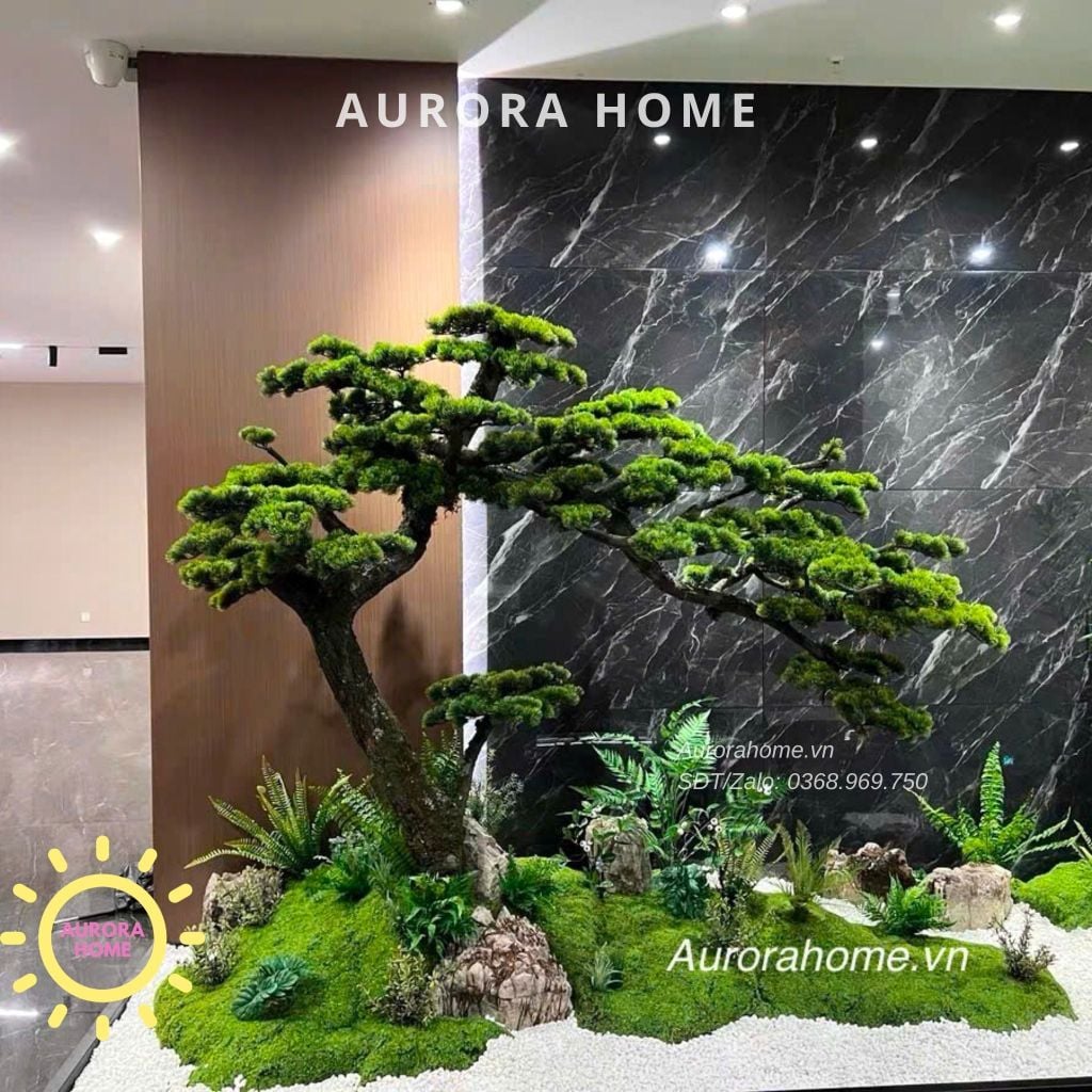 Tiểu cảnh Cây tùng bonsai cao cấp phong cách cổ xưa