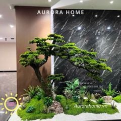 Tiểu cảnh Cây tùng bonsai cao cấp phong cách cổ xưa