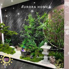 Tiểu cảnh Cây tùng bonsai cao cấp phong cách cổ xưa