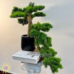 Chậu cây tùng bonsai thiết kế phong cách Nhật (Mẫu 7)