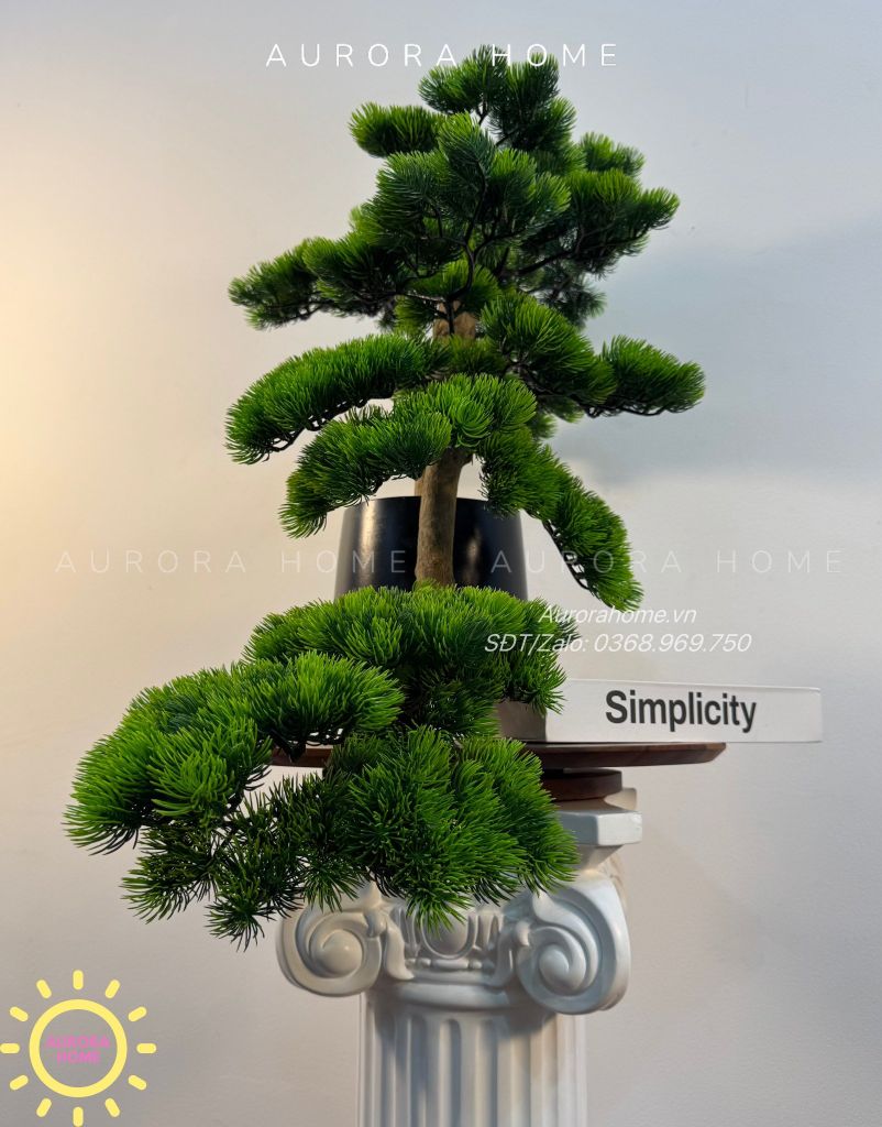 Chậu cây tùng bonsai thiết kế phong cách Nhật (Mẫu 7)