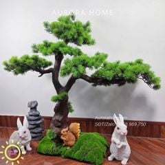 Tiểu cảnh cây tùng bonsai giả phong cách thiền Nhật (Mẫu 17)