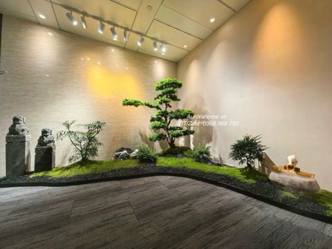 Tiểu cảnh cây tùng bonsai phong thuỷ tài lộc